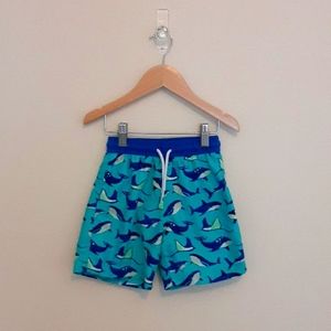 Floatimini Whale 🐋 Swim Trunks
